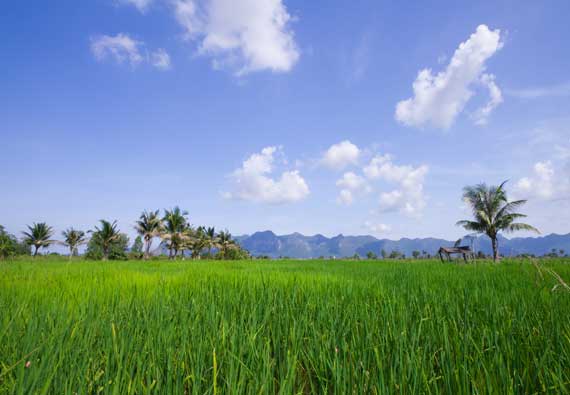 Top locations to buy a land in Chennai