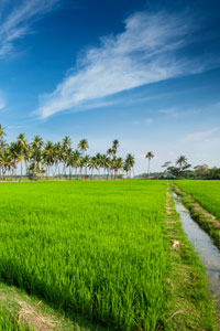 Real Estate in Tirunelveli