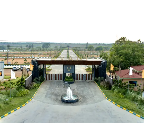 Avani