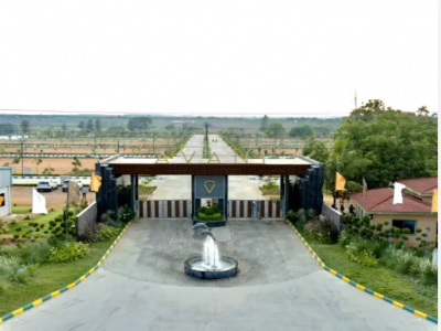 Avani