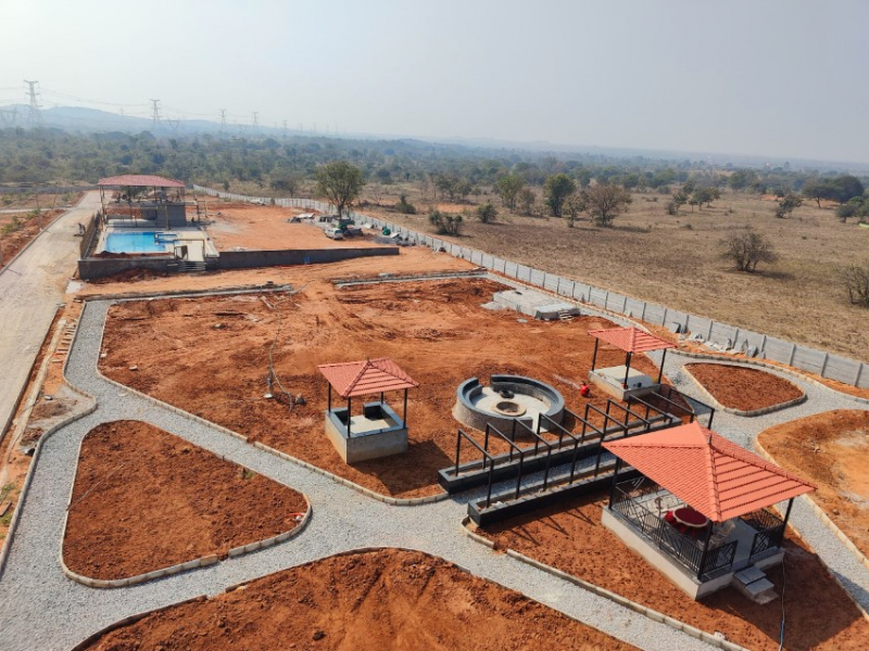 Arising Peacock Valley