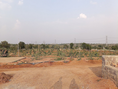 Plots for sale in Arising Peacock Valley, Kadthal