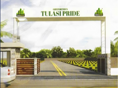 Greenmetro Tulasi Pride