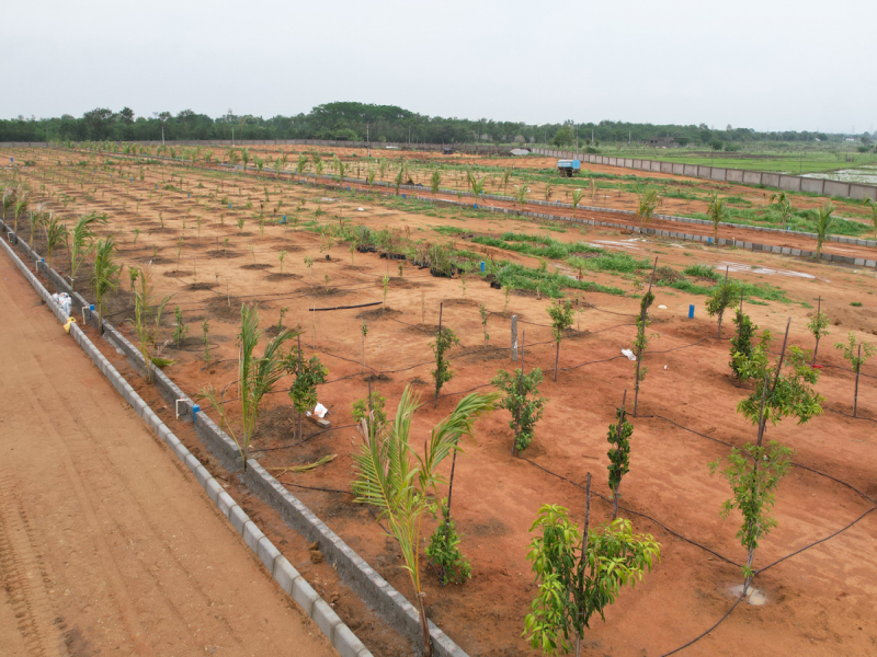 Maheshwaram Golden City