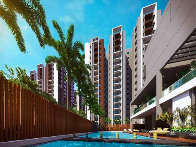 Aparna Kanopy Yellowbells