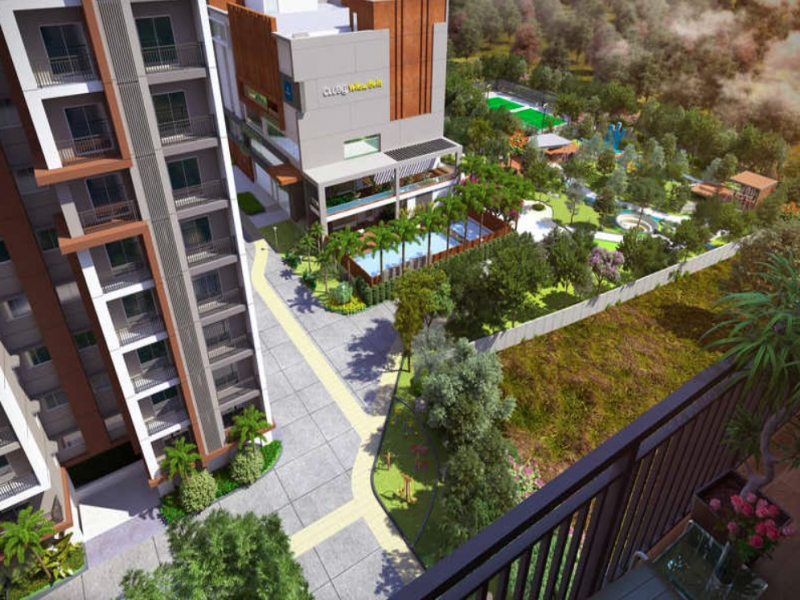 Aparna Kanopy Yellowbells