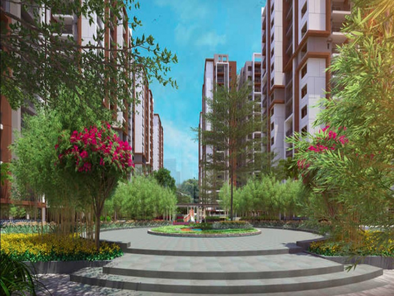 Aparna Kanopy Yellowbells