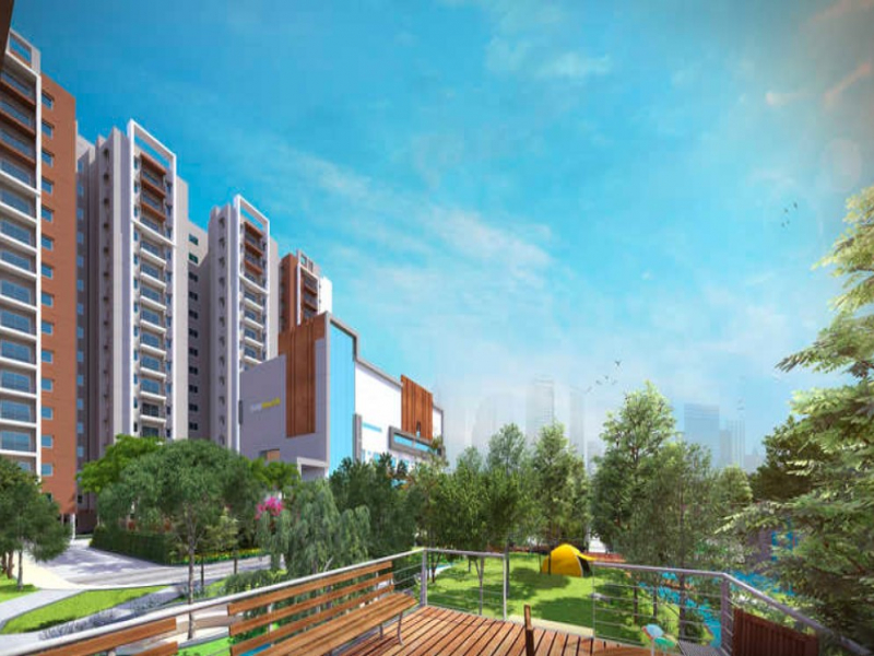 Aparna Kanopy Yellowbells