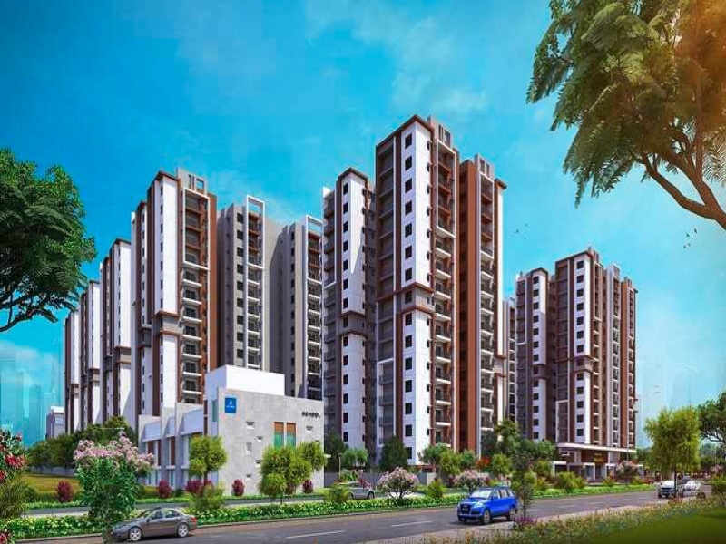 Aparna Kanopy Yellowbells