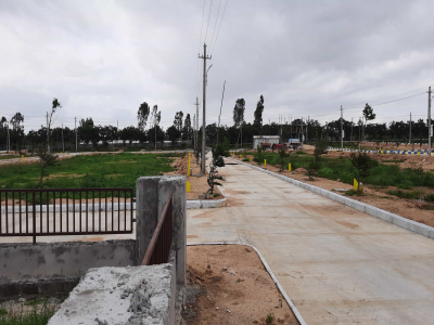 Plots for sale in TMR Green Meadows, Chegunta
