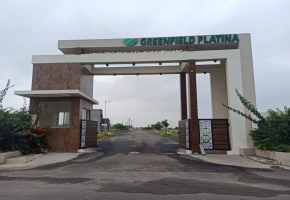 Green Field Platina