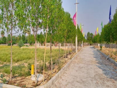 Green Avenue