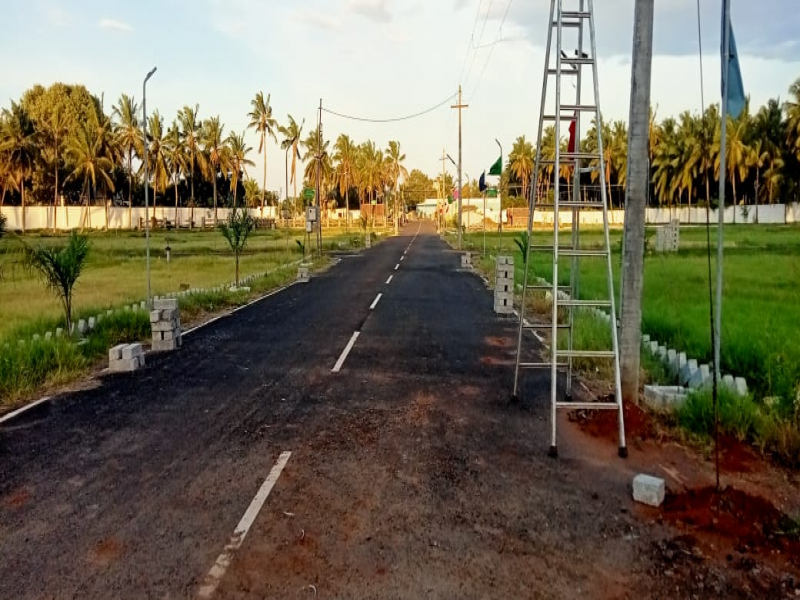 Sai Sharadda