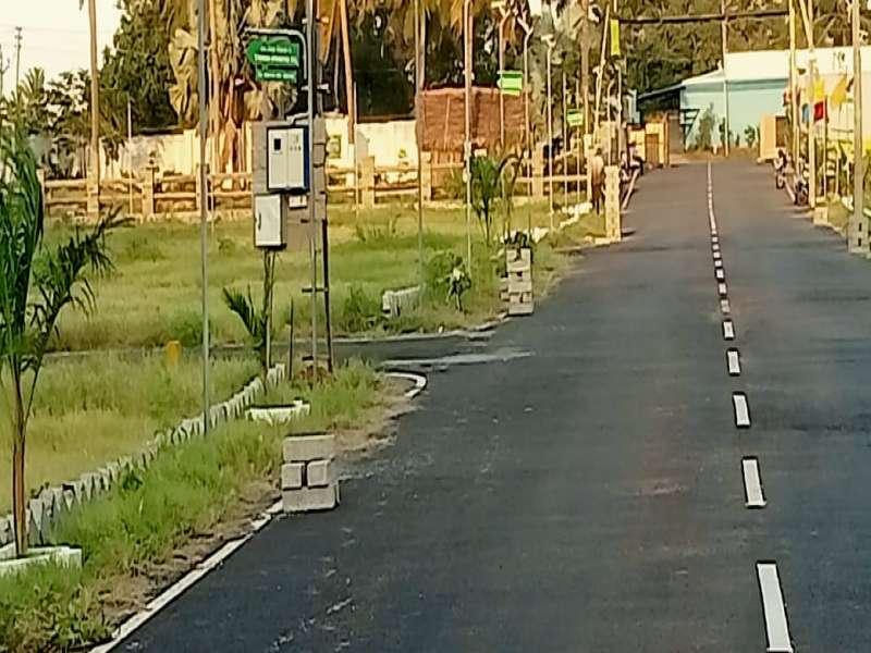 Sai Sharadda