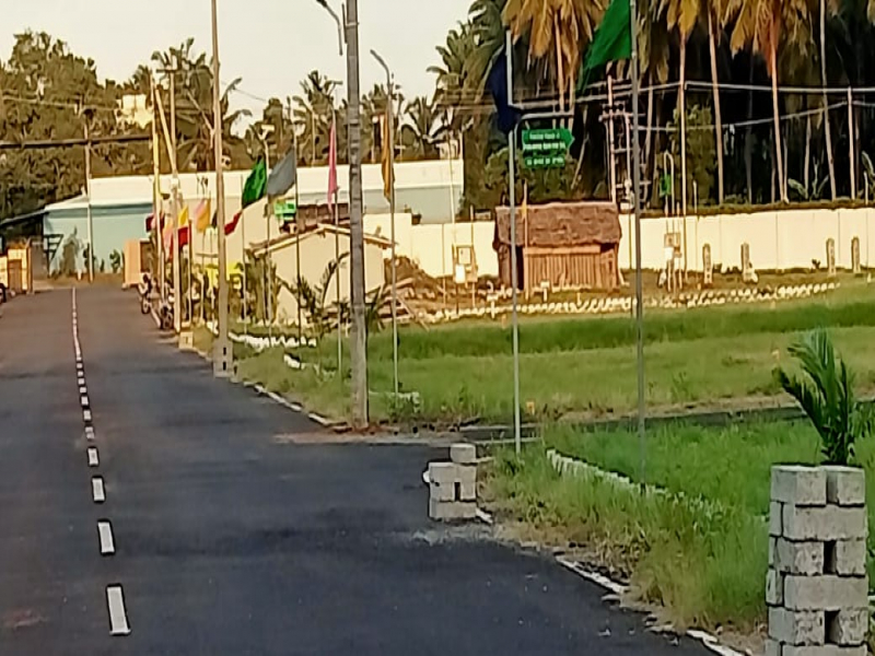 Sai Sharadda