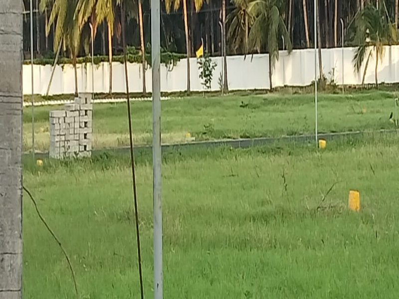 Sai Sharadda