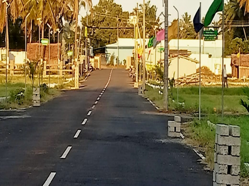 Sai Sharadda