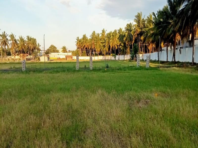 Sai Sharadda