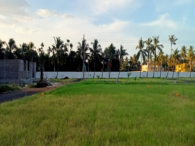 Sai Sharadda