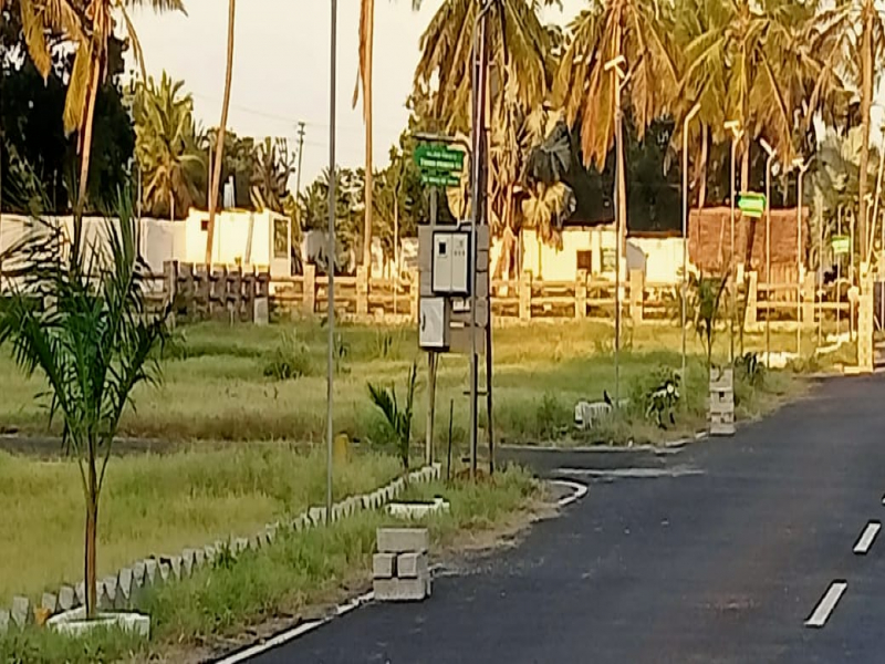 Sai Sharadda