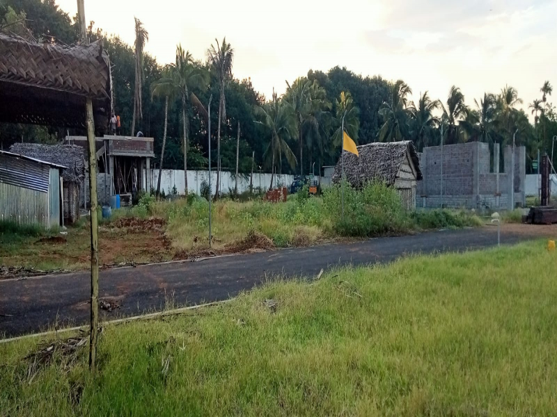Sai Sharadda