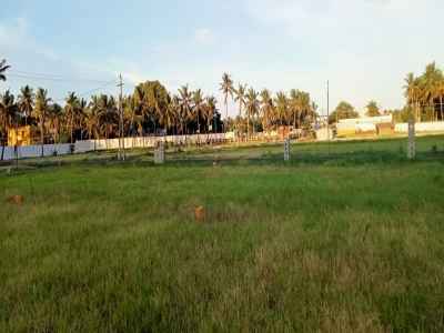Plots for sale in Sai Sharadda, Chettipalayam