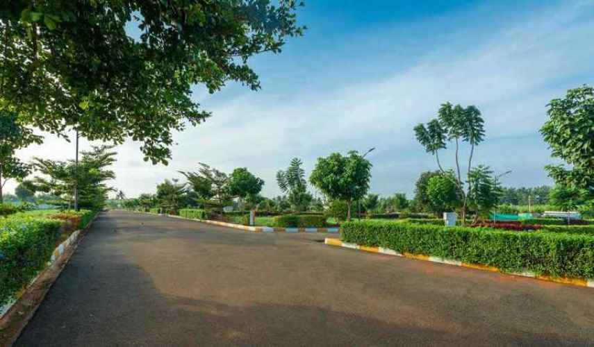 Adarsh Savana
