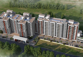 Provident Toogoodhomes
