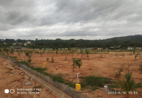 Plots for sale in Nisarga Homes, Bidadi