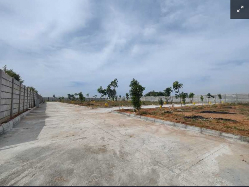 Pruthvi Asset