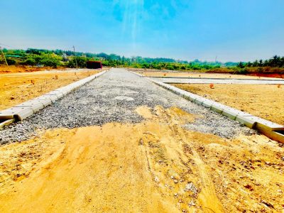 Dhanvin Meadows