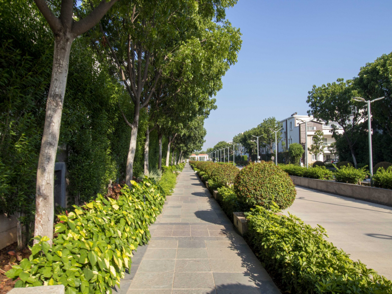 Mayfair Villas