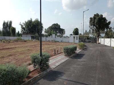 Plots for sale in Blue Mango Orchard, Kacharakanahalli