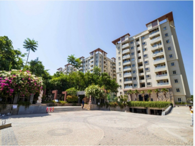 Mayfair Apartments