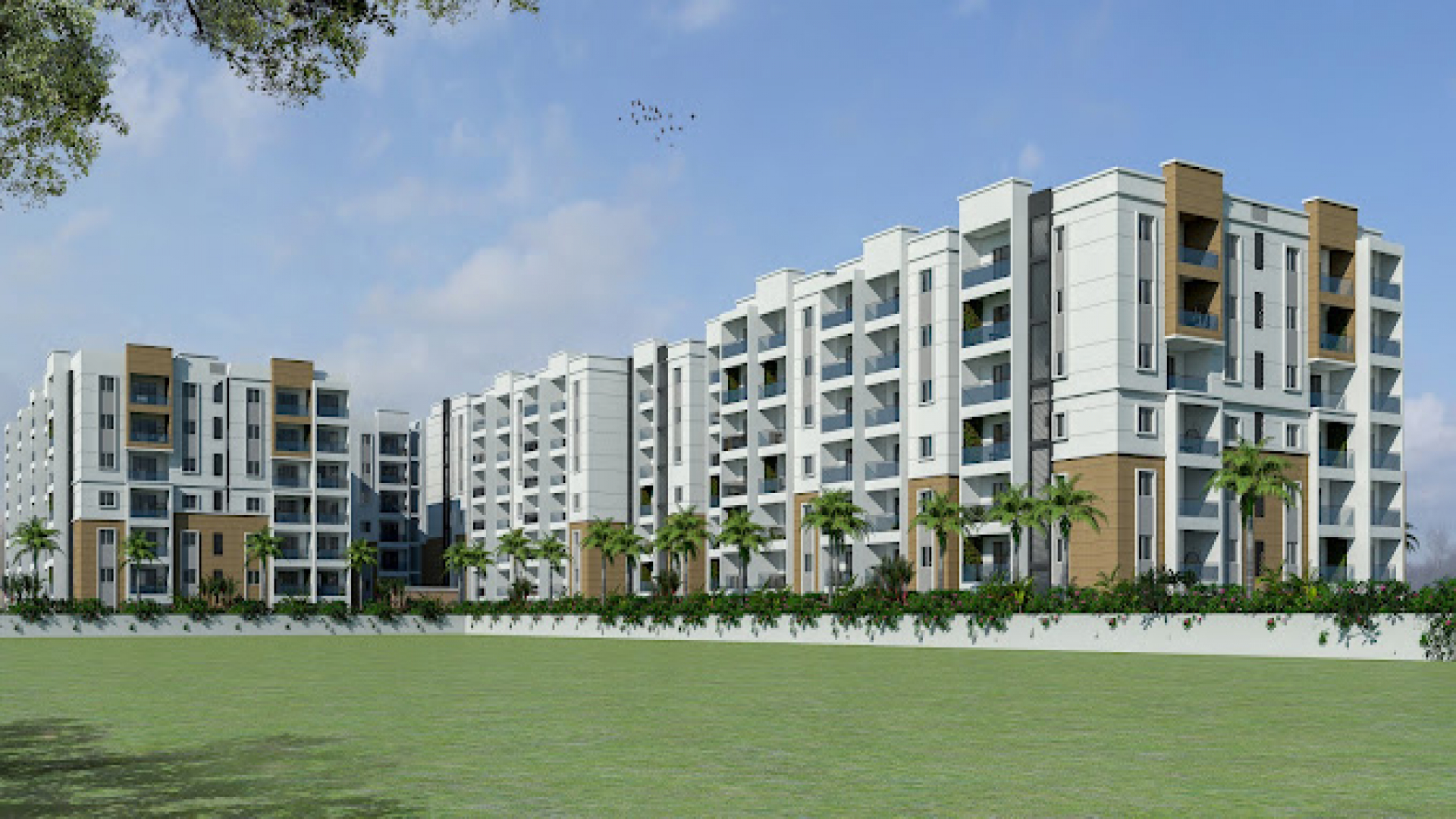 Green Edge Signature