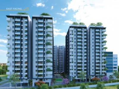 Vaishnavi Houdini