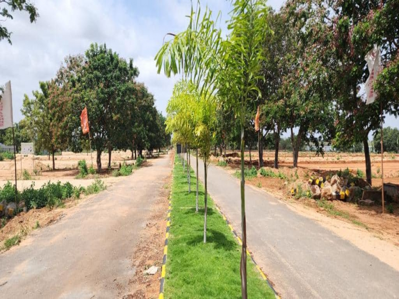 Shadnagar Downtown