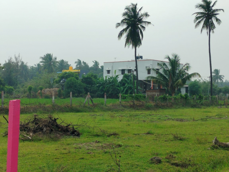 Dakshan Tellus Avenue Phase 2