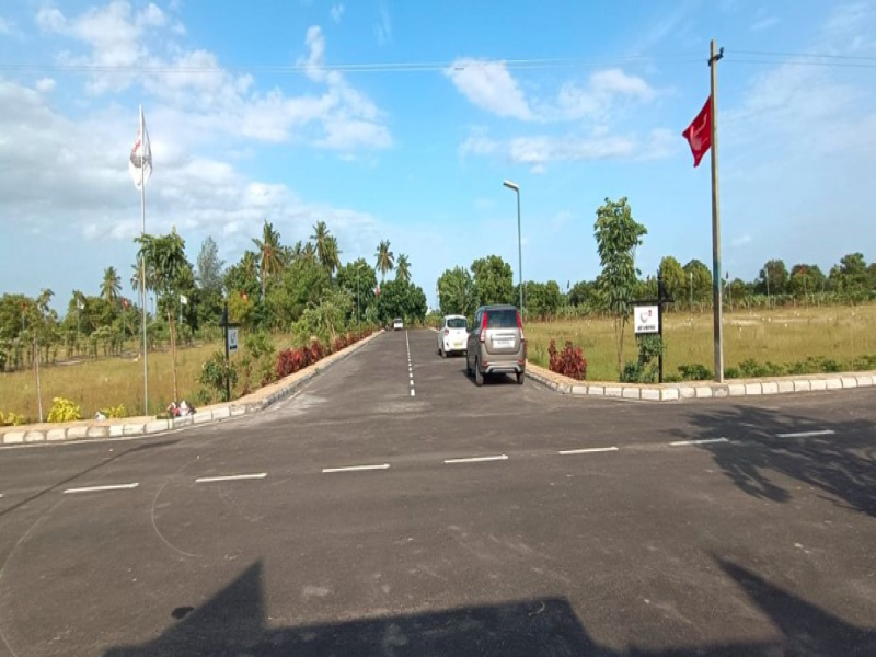 Urban Tree Jade Jubilance