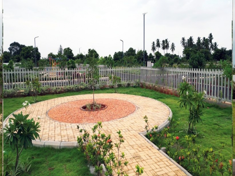 Urban Tree Jade Jubilance