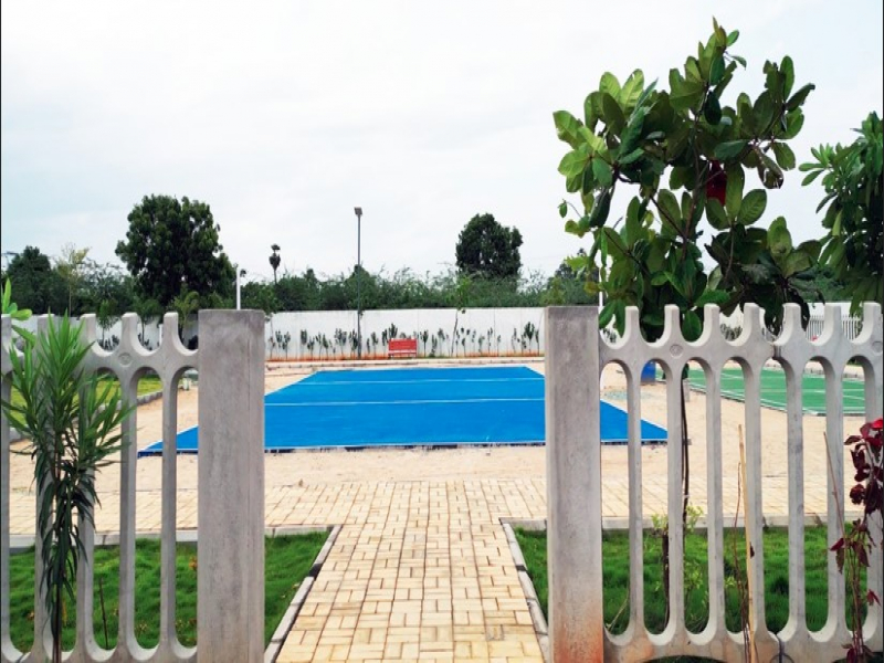 Urban Tree Jade Jubilance