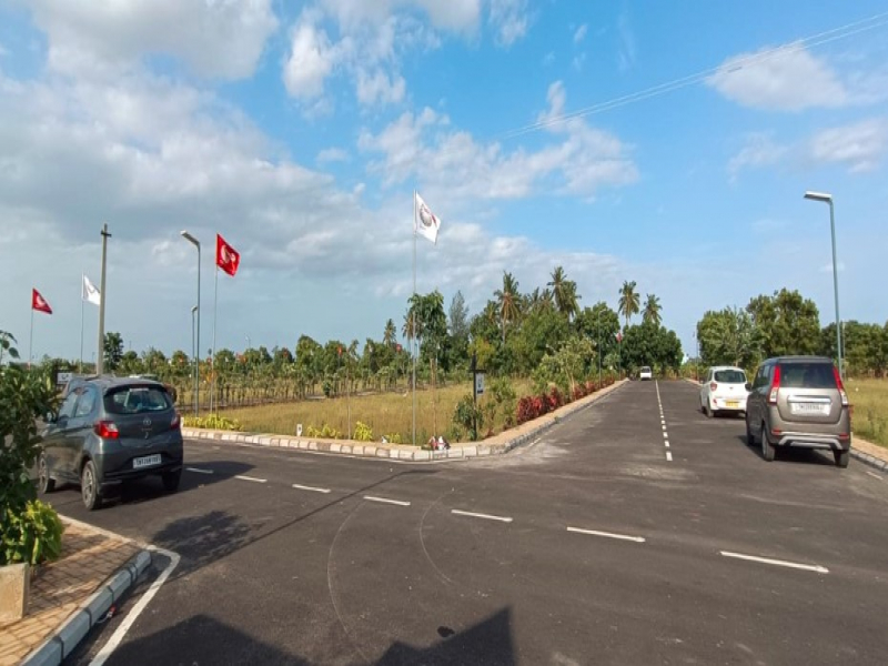 Urban Tree Jade Jubilance