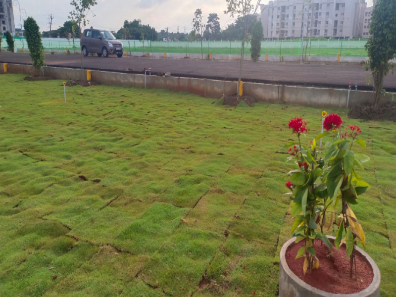View 1