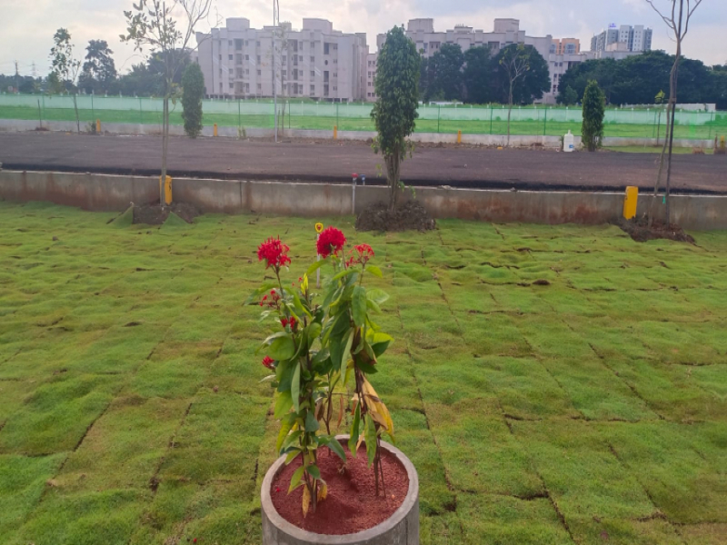 View 1