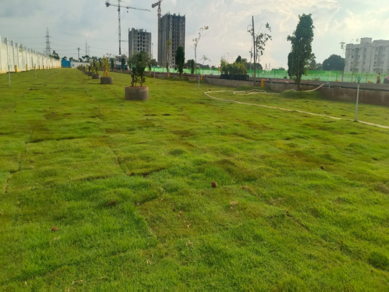 View 1