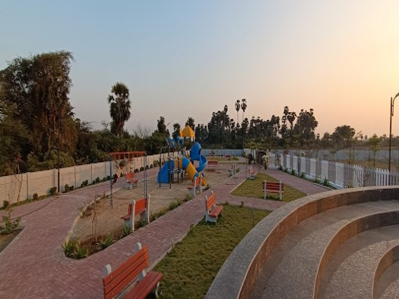 Urban Tree Crystal Crown
