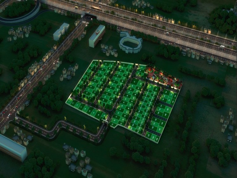 Urban Tree Crystal Crown