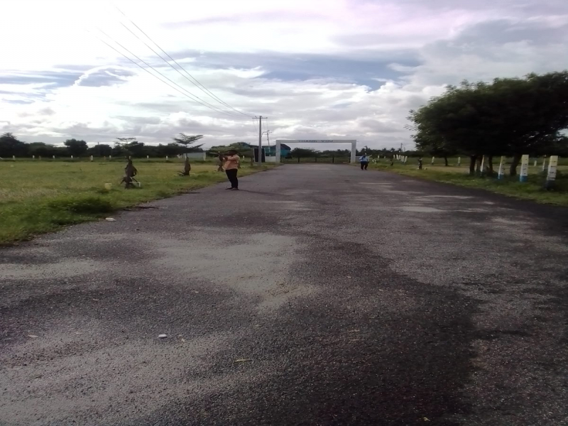 View 1