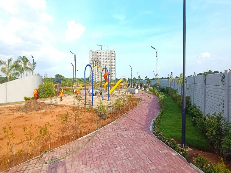 Urban Tree Amber County