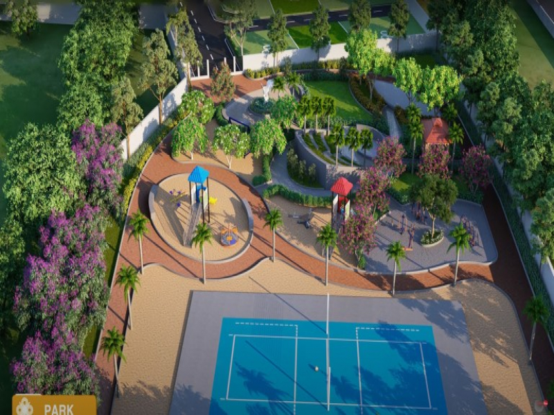 Urban Tree Amber County